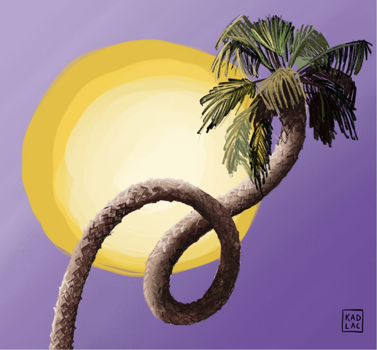 Palm Trees through the eyes of Salvador Dali