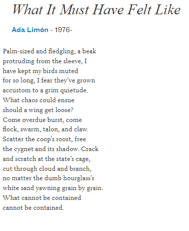 What it must have felt like by Ada Limon-1976: Palm-sized and fledgling, a beak protruding from the sleeve, I have kept my birds muted for so long, I fear they’ve grown accustom to a grim quietude. What chaos could ensue should a wing get loose? Come overdue burst, come flock, swarm, talon, and claw. Scatter the coop’s roost, free the cygnet and its shadow. Crack and scratch at the state’s cage, cut through cloud and branch, no matter the dumb hourglass’s white sand yawning grain by grain. What cannot be contained cannot be contained.