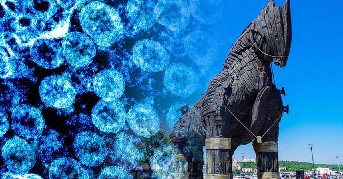 OPINION: Coronavirus Panic is a Trojan Horse for Socialism ...