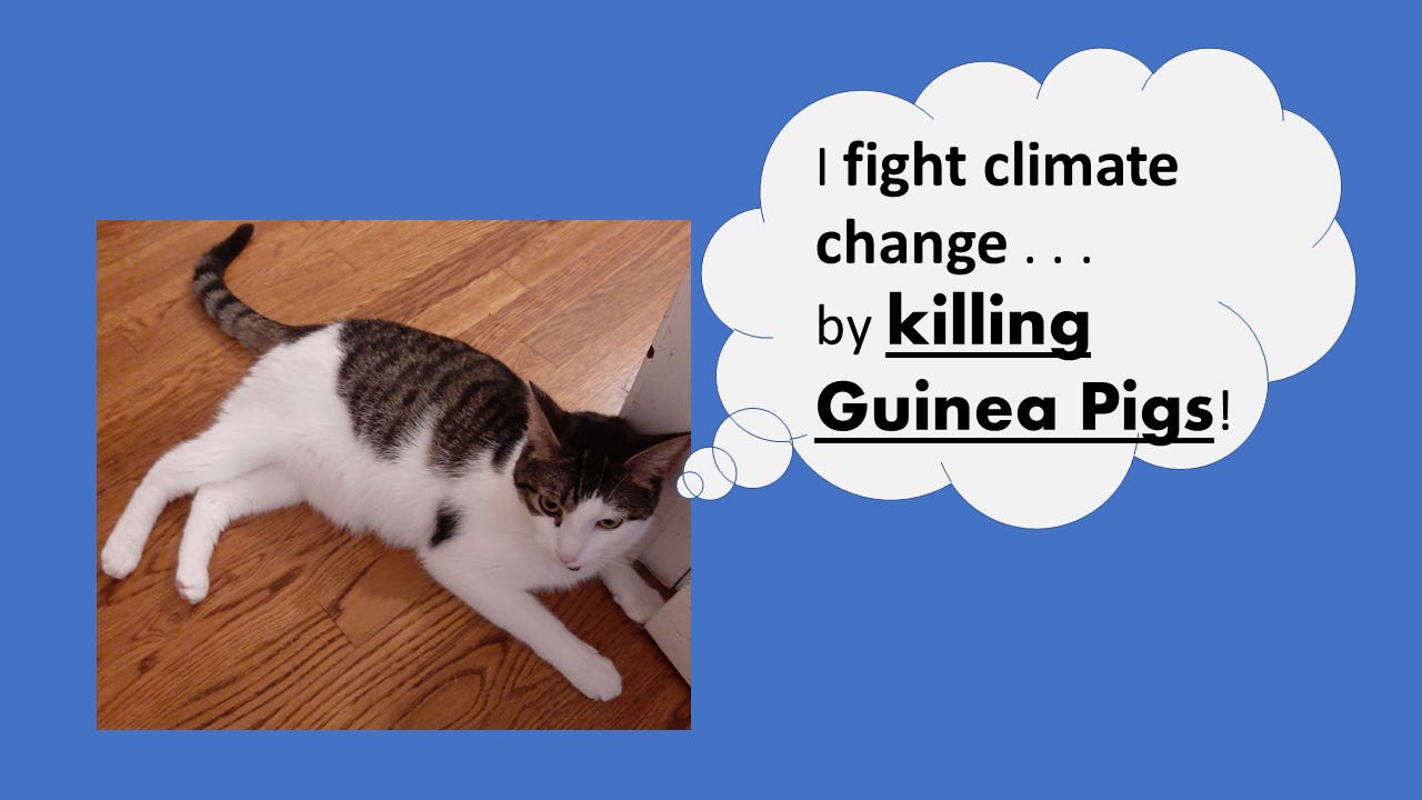 Cats against Climate Change: Cap the Cat fights climate change by killing and eating Guinea Pigs!