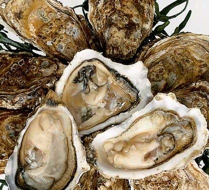 Oyster - BBC Good Food