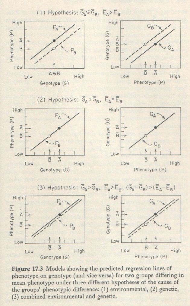 Educability and Group Differences Jensen 1973 p. 307