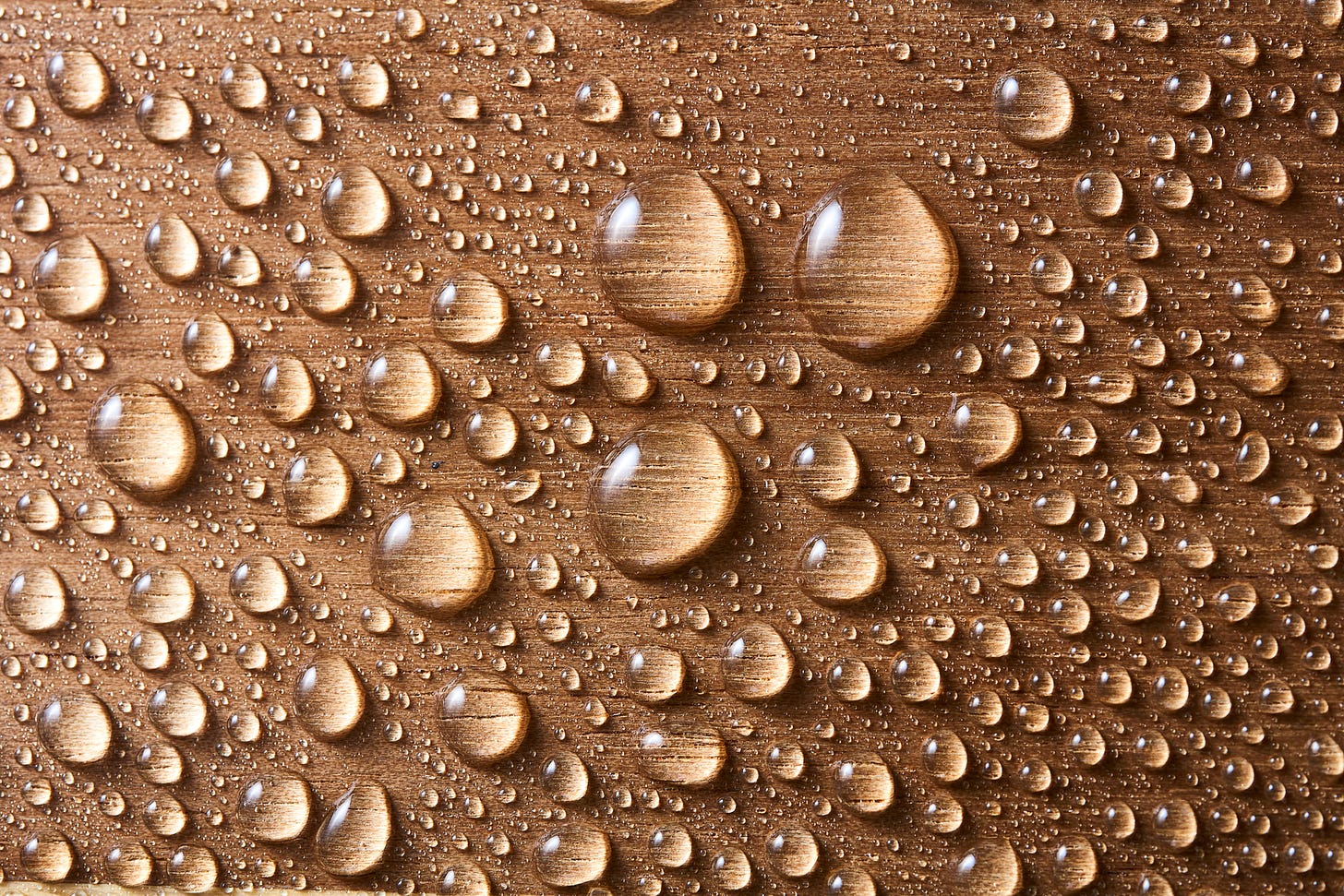abstract photo of water droplets