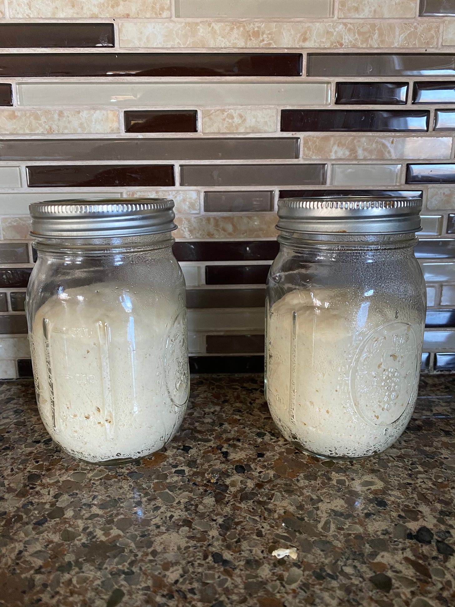 Dry sourdough starter from jovial foods