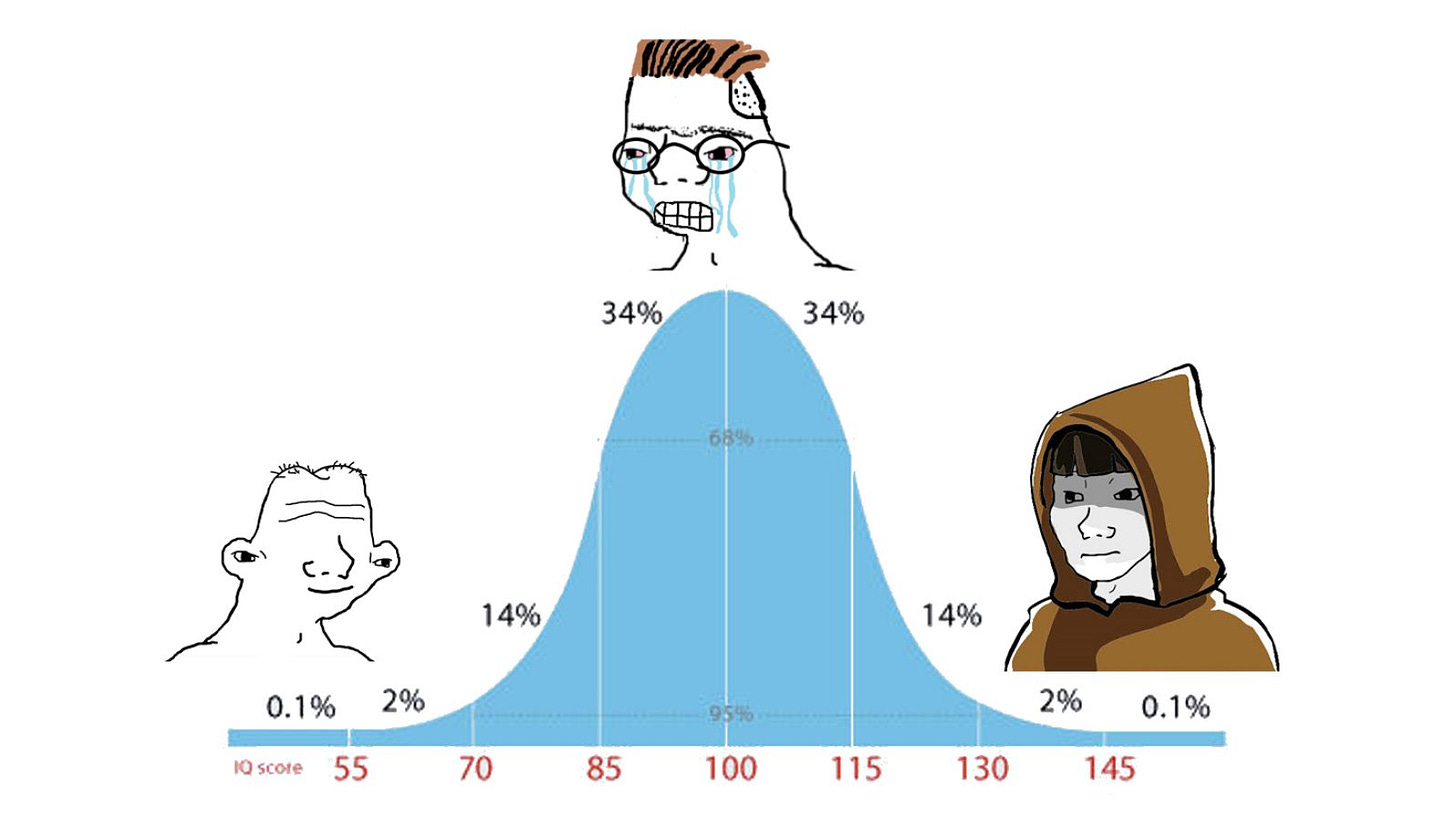 The IQ Bell Curve Meme
