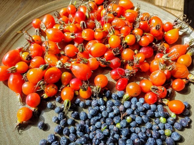 Rosehips and juniper berries