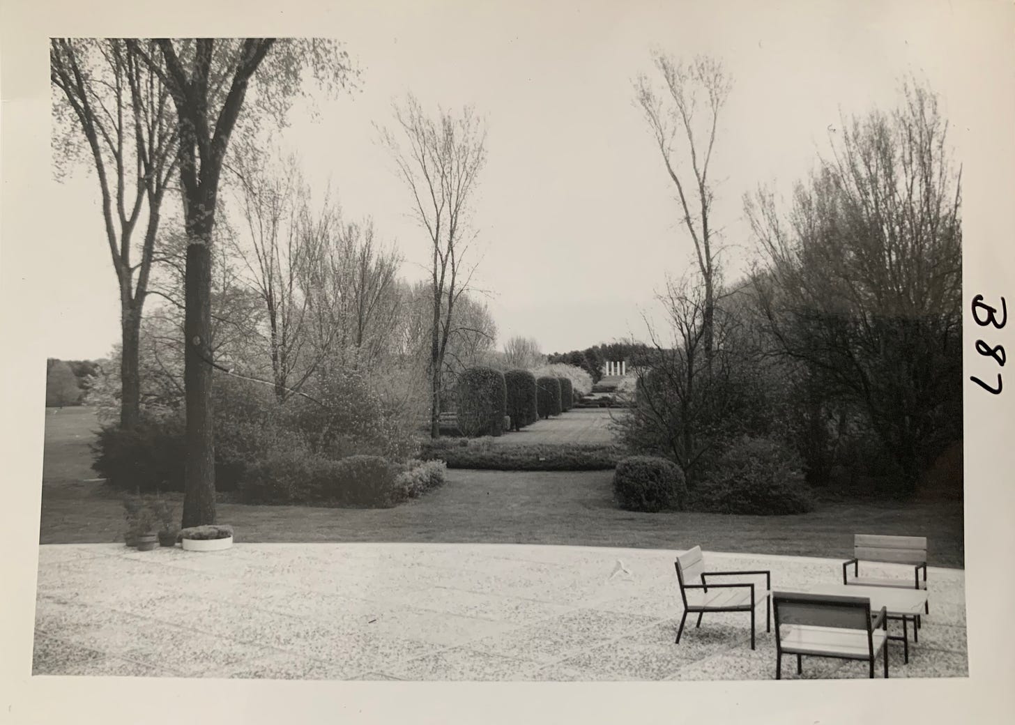 Black and white photo of the hedge garden up to the four columns showing the terrace of the Administration Building.