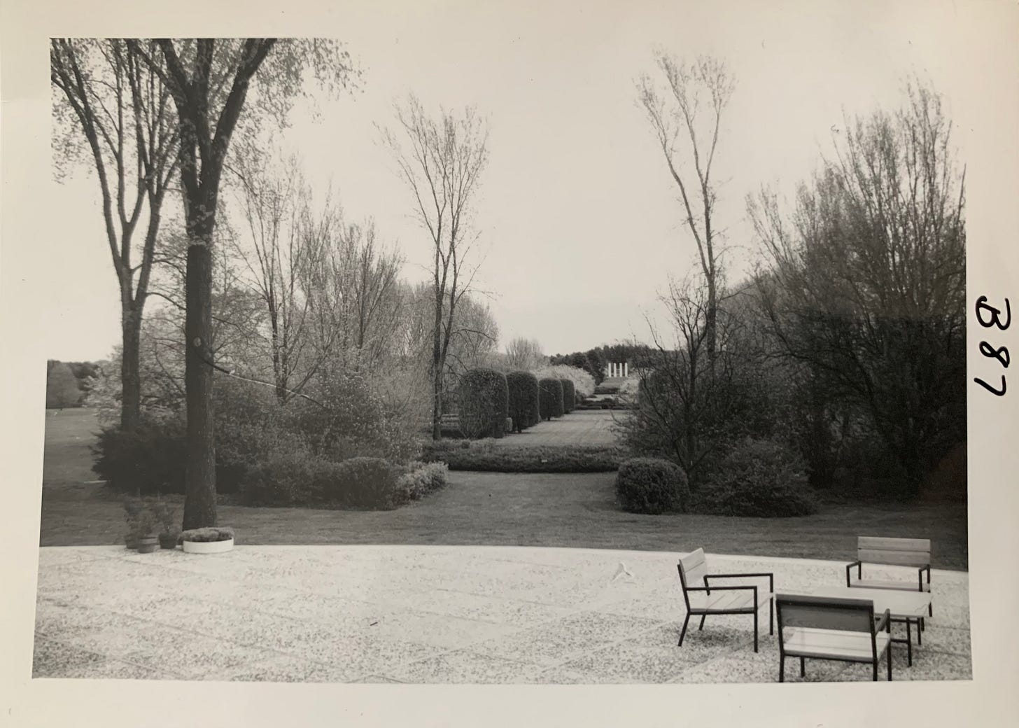 Black and white photo of the hedge garden up to the four columns showing the terrace of the Administration Building.