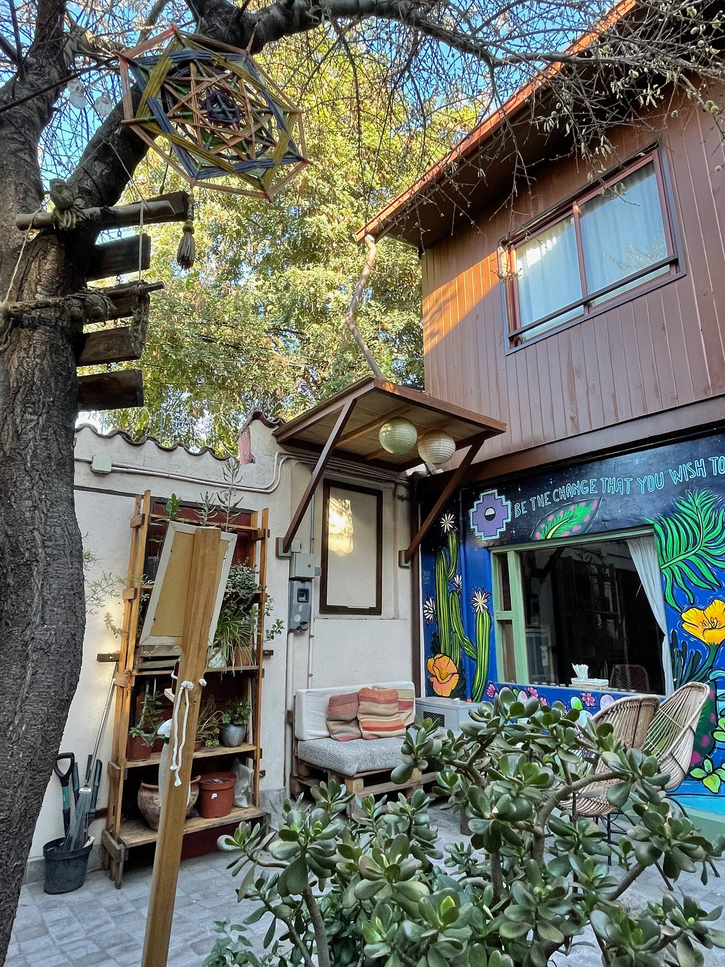 A sunny hostel courtyard with a large tree overhanging comfy chairs.