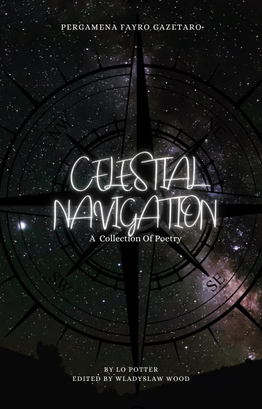 Redesigned cover - it's a dark sky photograph with a compass rose overlay and "Celestial Navigation" and author information on top