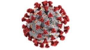 An Illustration of Coronavirus created by Centre for Disease Control and Prevention