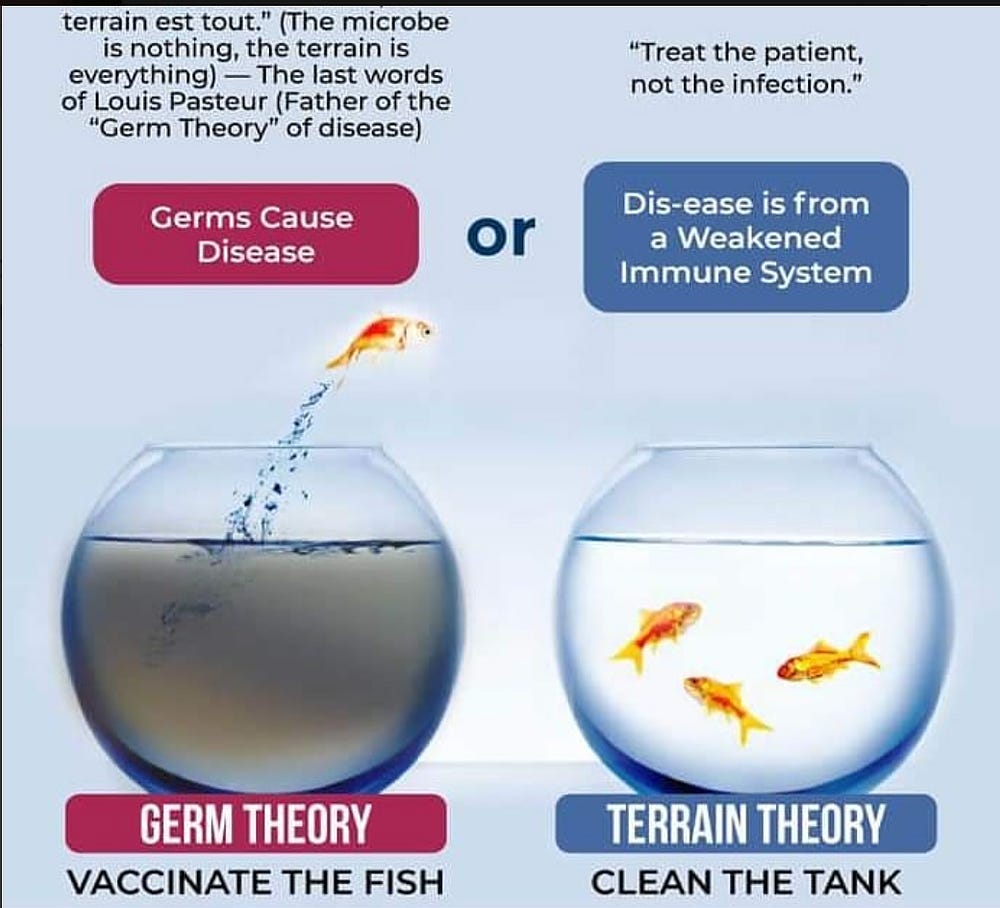 "terrain est tout." (The microbe is nothing, the terrain is everything) -- The last words of Louis Pasteur (Father of the "Ger Theory" of disease): Germs Cause Disease or "Treat the patient, not the infection." Dis-ease is from a Weakened Immune System. Germ theory: Vaccinate the fish versus Terrain Theory: clean the tank?