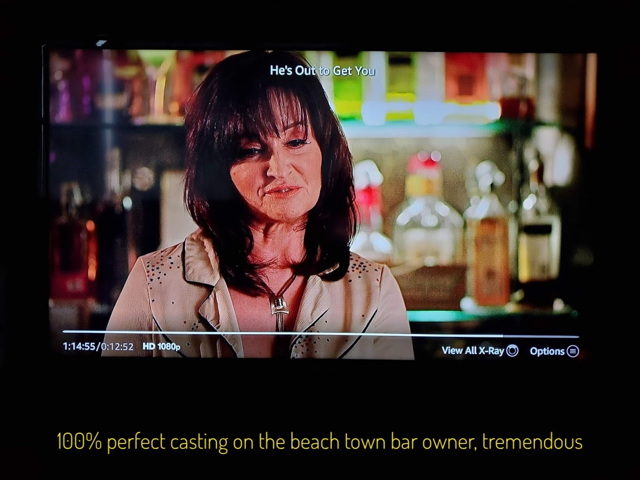 An older lady in a leather blazer, who herself is kind of leathery in a cool way, captioned "100% perfect casting on the beach town bar owner, tremendous"