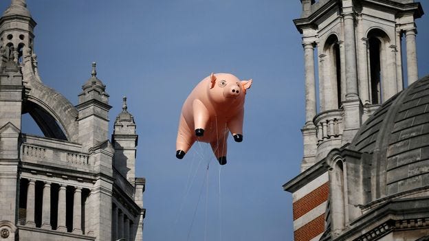 The floating pig that became a sign of protest - BBC Culture