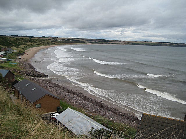 Lunan Bay from the south Looking over the rooftops of the buildings at Corbie Knowe from the start of the cliff path. This modest vantage point provides a good view along the length of the bay.