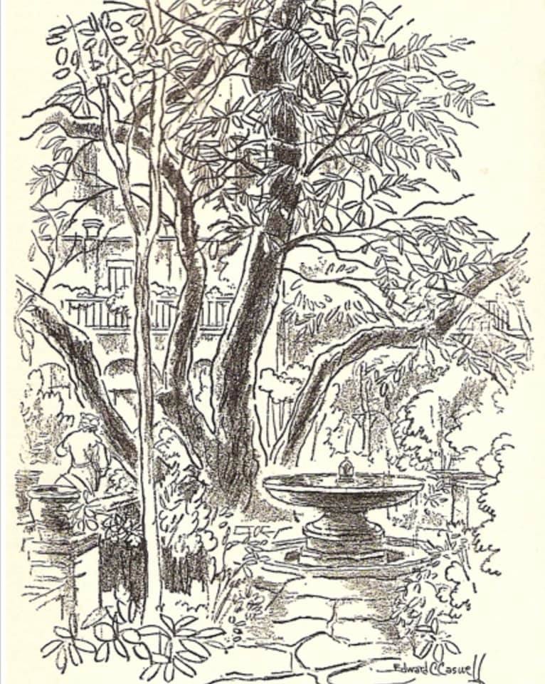 May be an illustration of tree and outdoors