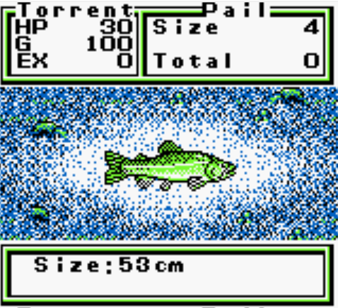 A screenshot of a successfully caught fish, displaying its size.