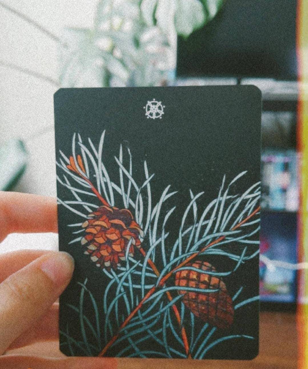 A hand holding a card. On the card are two pine branches, crossing int eh middle, with pinecones hanging on the upper parts. The card has a black background and a symbol at the top.