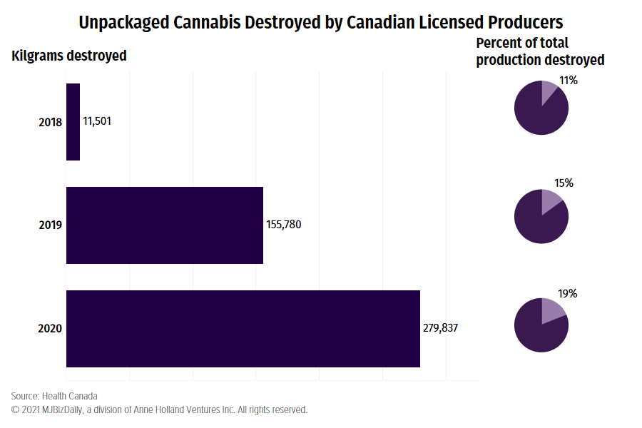 Canadian cannabis destruction, Canadian producers destroyed over 500 tons of cannabis since 2018