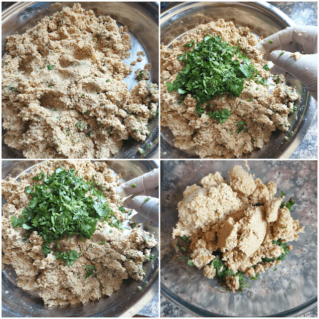 combined chicken shami kebab mix