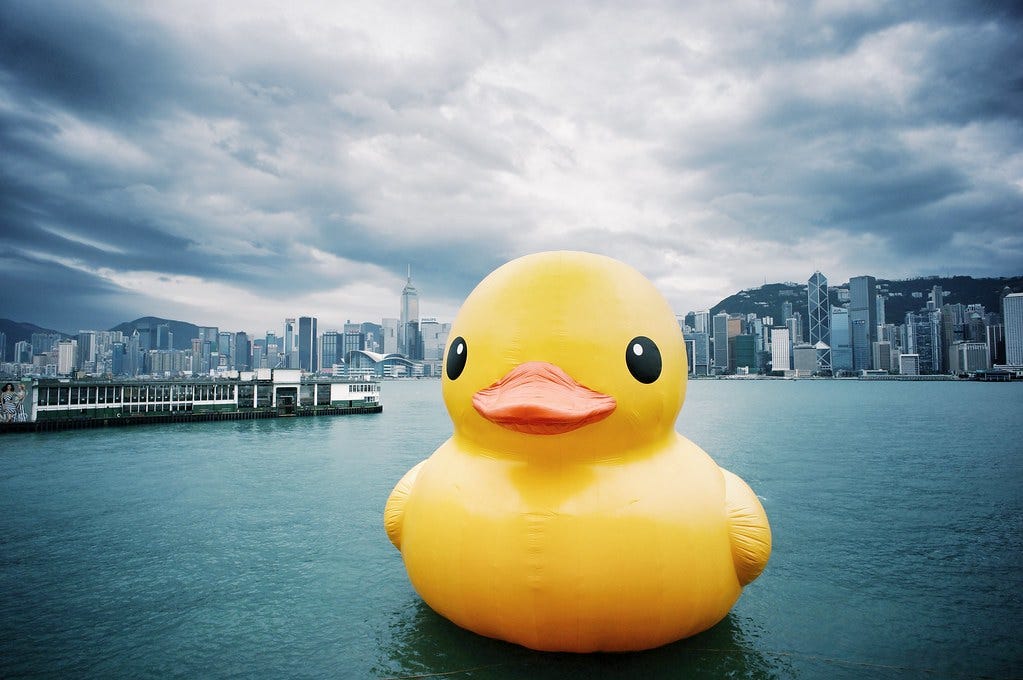 Rubber Duck Project - HK Tour