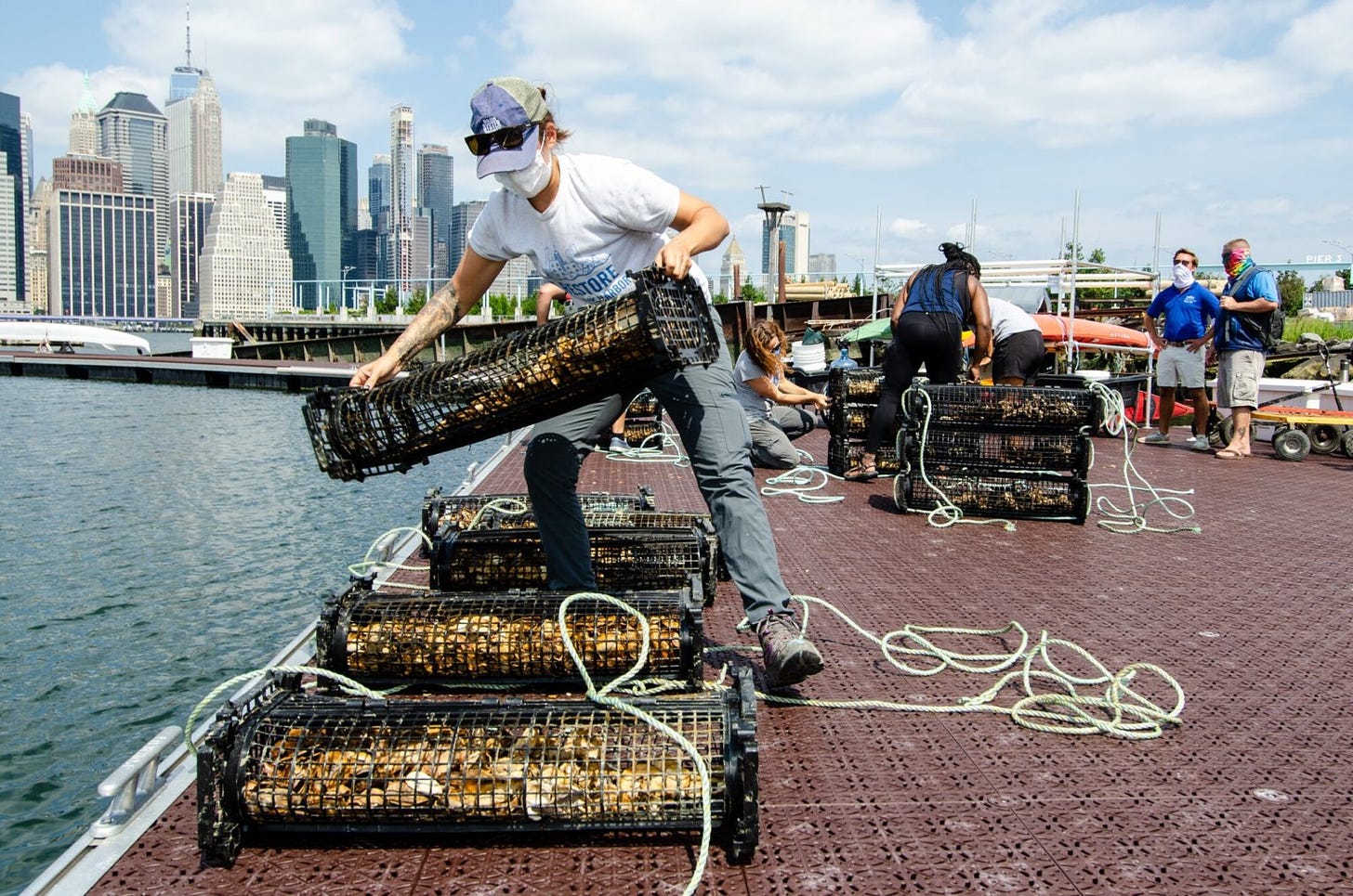 Someone with the Billion Oyster Project is loading a man-made oyster reef into the East River.