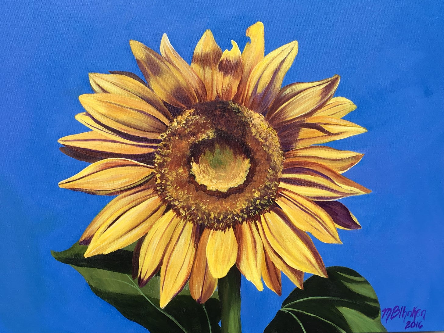 Sunflower on Blue, Fine Art Giclee | Mary Beth Ihnken