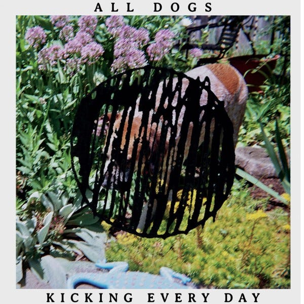 all-dogs-kicking-every-day-2015