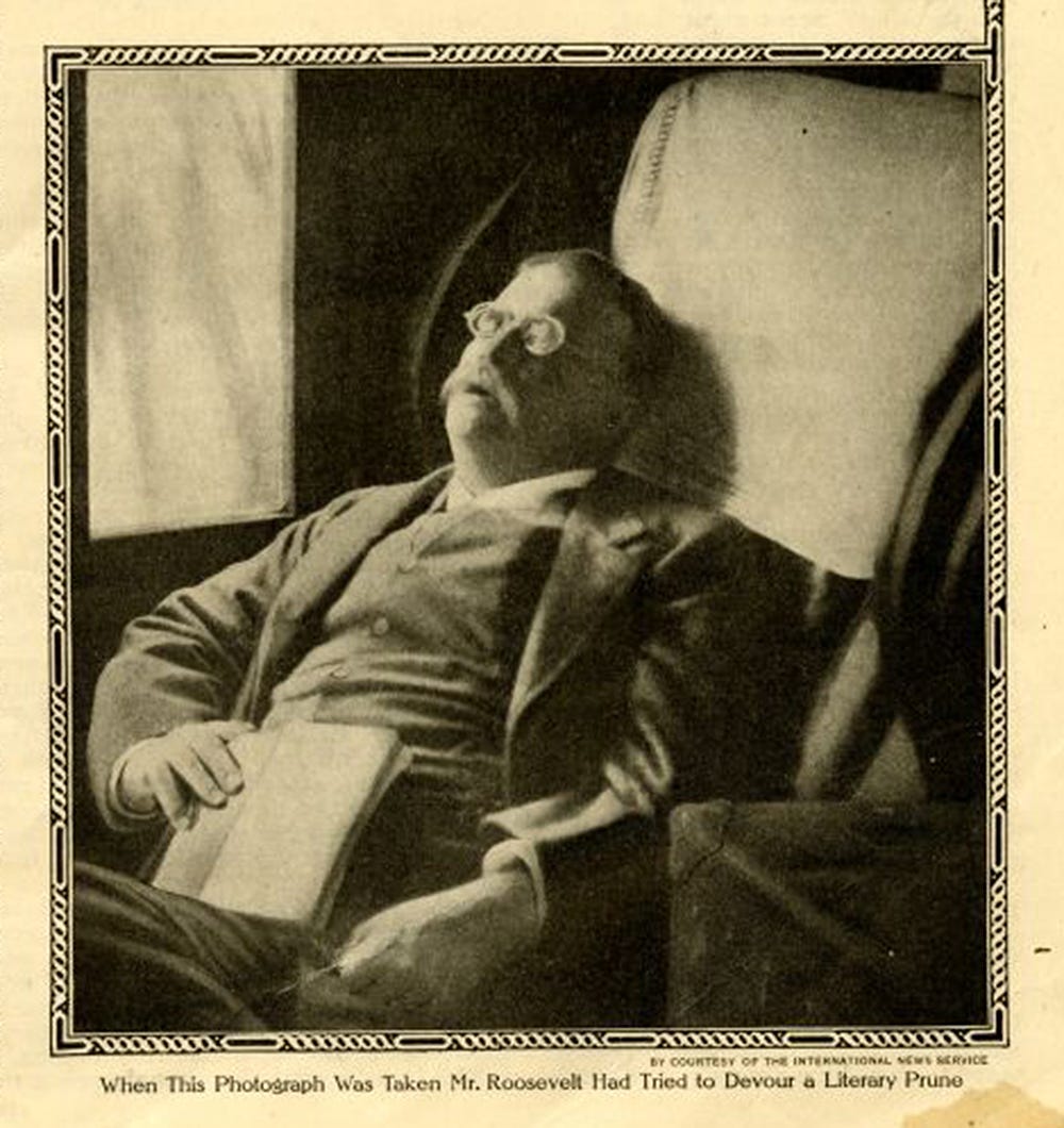 Photograph from Theodore Roosevelt, “The Books That I Read and When and How I Do My Reading,” Ladies’ Home Journal, April 1915. Theodore Roosevelt Digital Library, Dickinson State University.