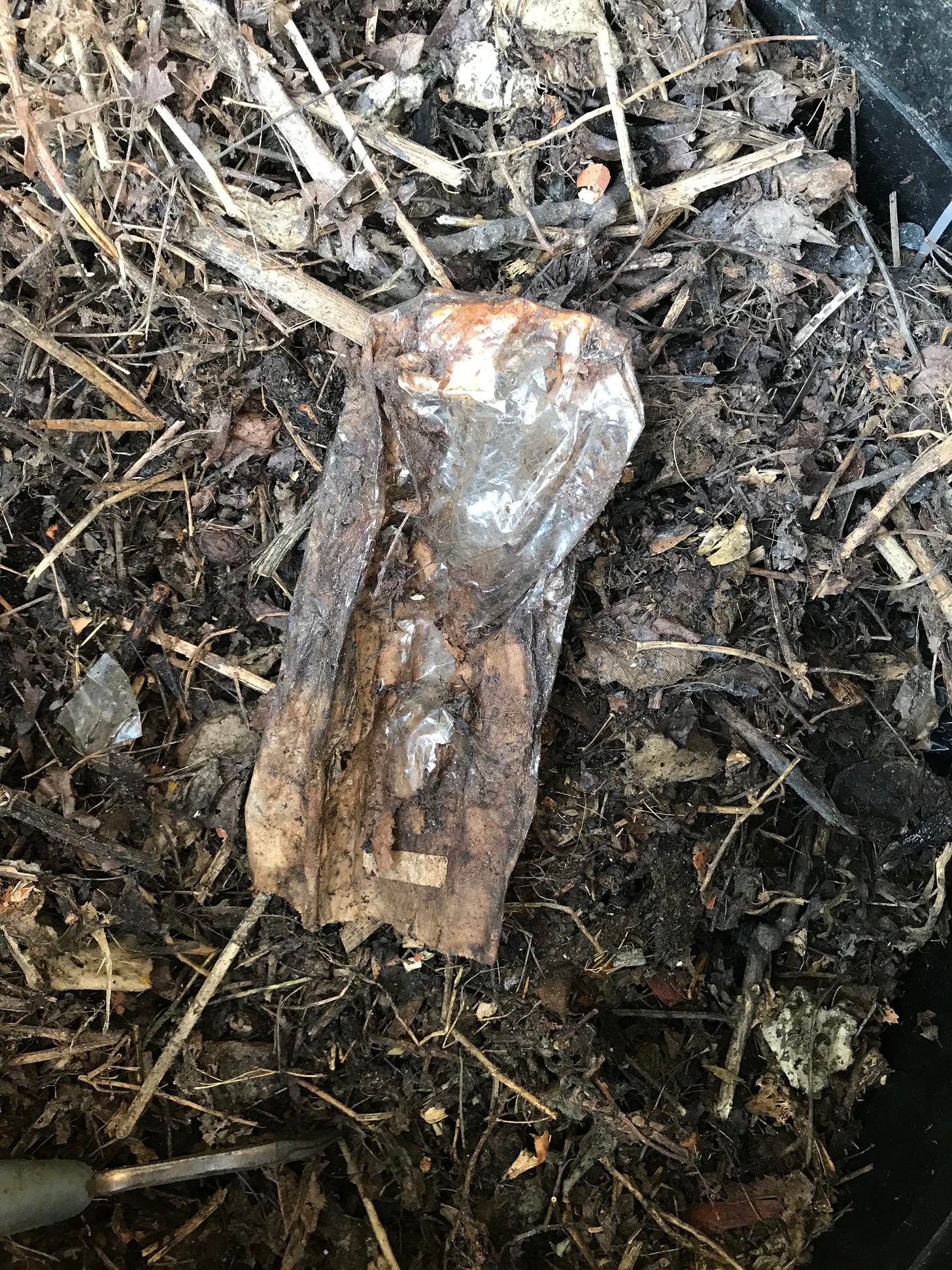 A plastic bag sitting on a compost pile