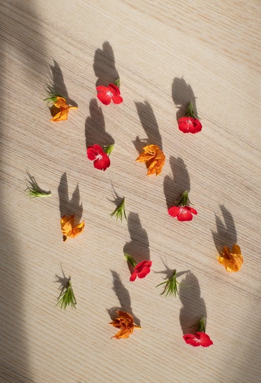 Top view of gentle red flowers and Cape gooseberries arranged on wooden table in sunlight