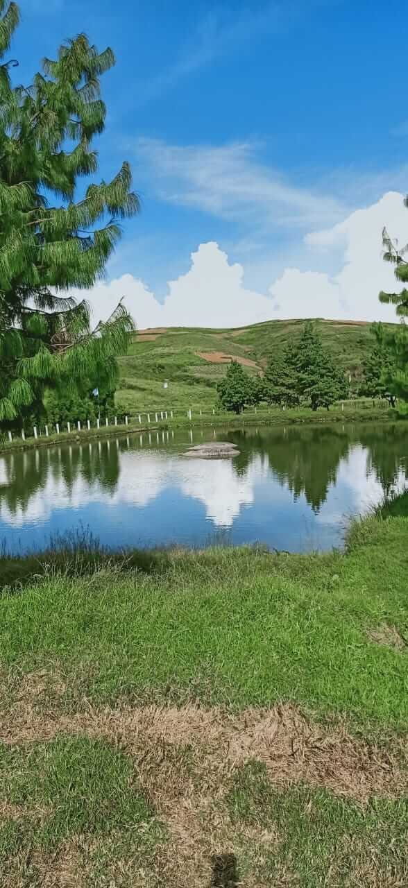 Chandra Park, Smit