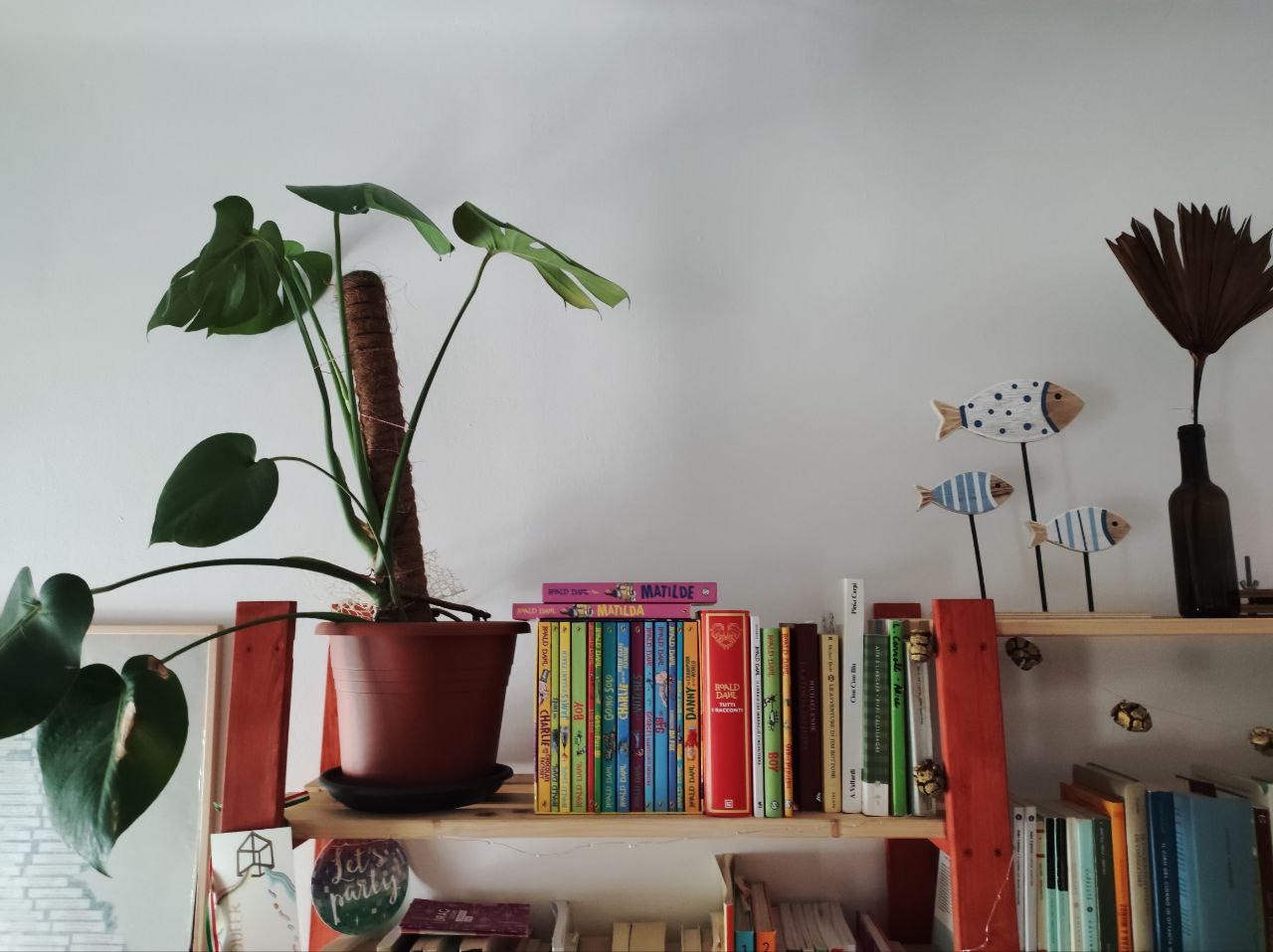 Scaffale di libreria con molti libri dal dorso colorato. Sulla sinistra, sempre sullo scaffale, c'è una pianta. Una monstera, per l'esattezza.