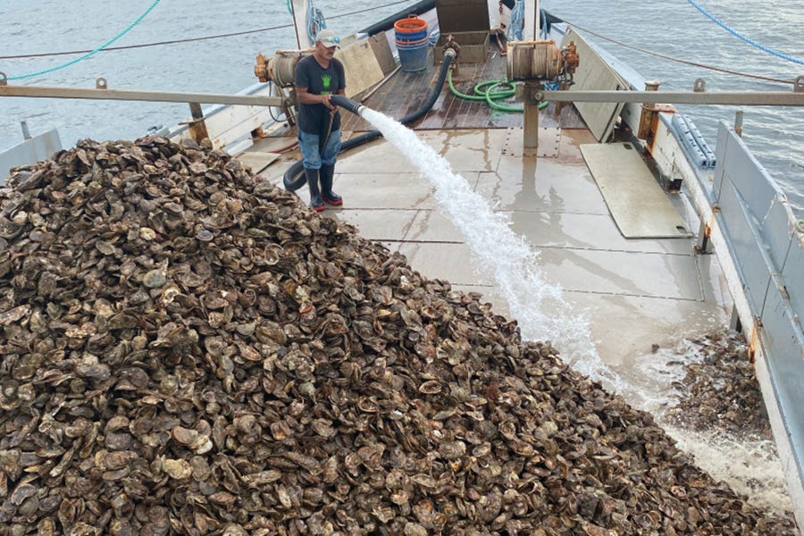 Sea Grant and the Connecticut Department of Agriculture Work to Support the  Shellfish Industry - Farm Flavor