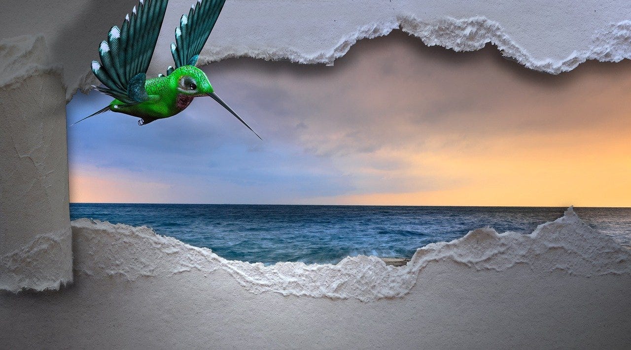 https://pixabay.com/photos/humming-bird-sea-breakthrough-bird-3347576/