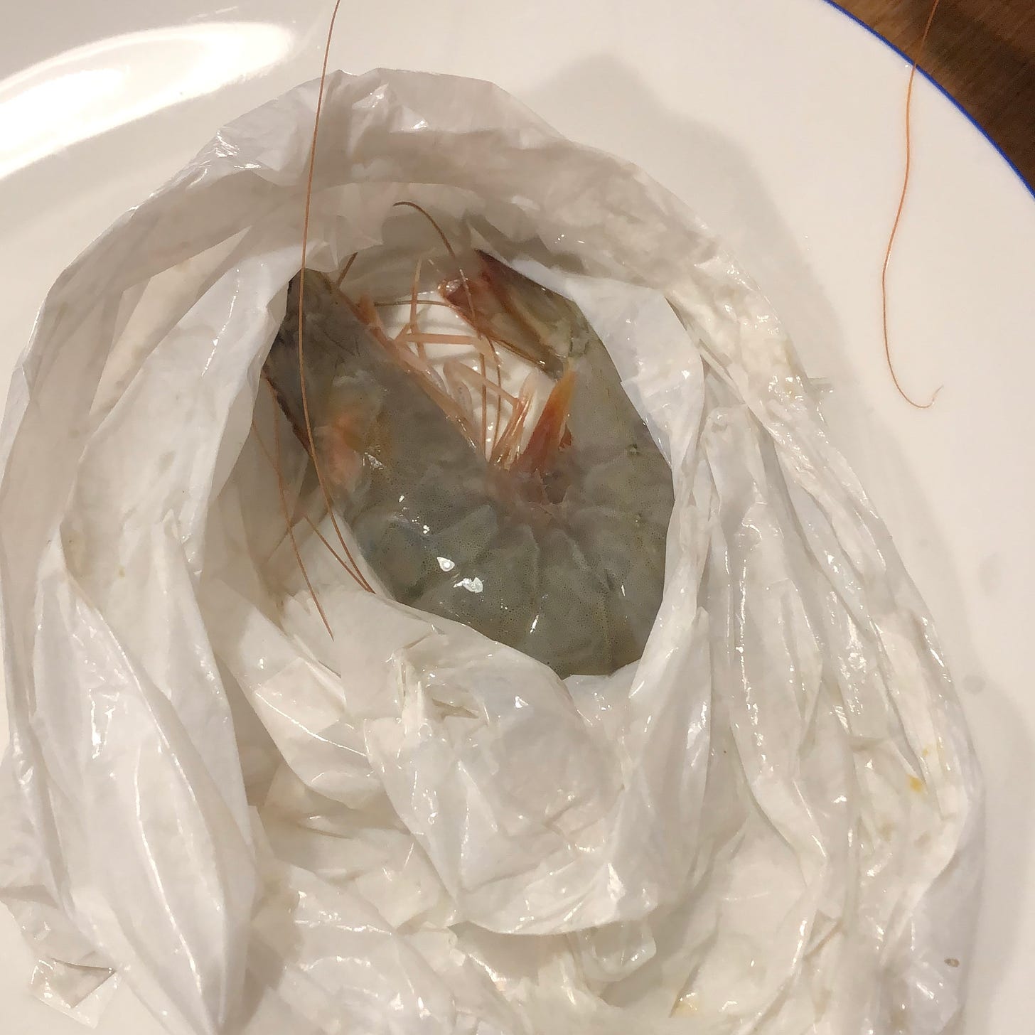 A wet glassy grey and pale pink raw prawn curled in the bottom of a ruffled white plastic bag. 