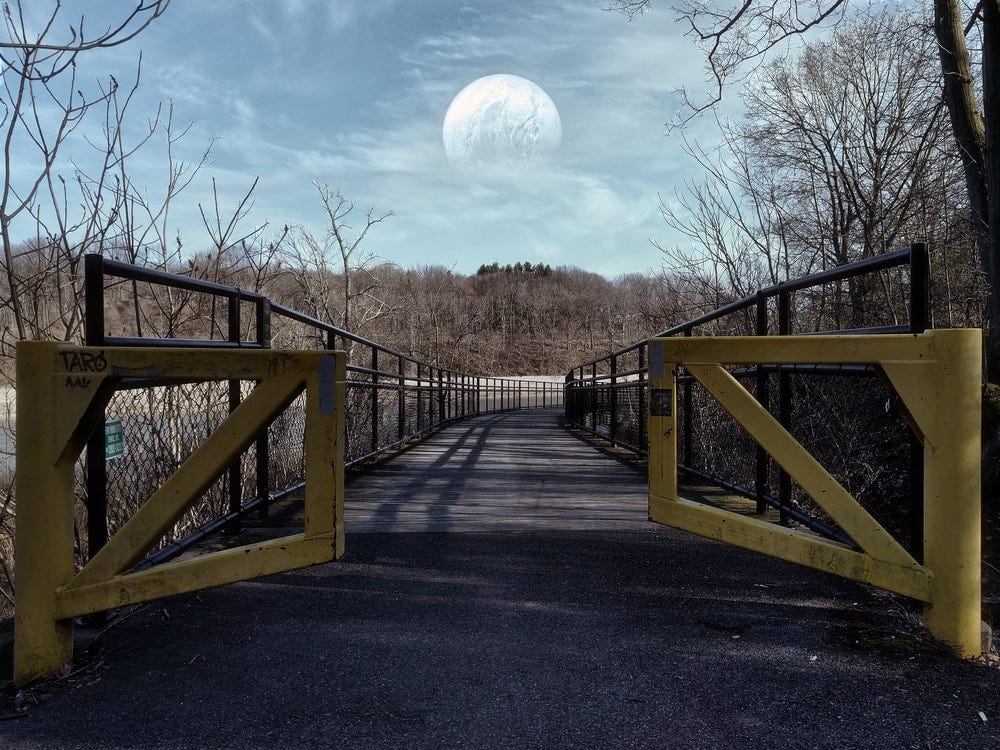 brown wooden bridge under blue sky during daytime