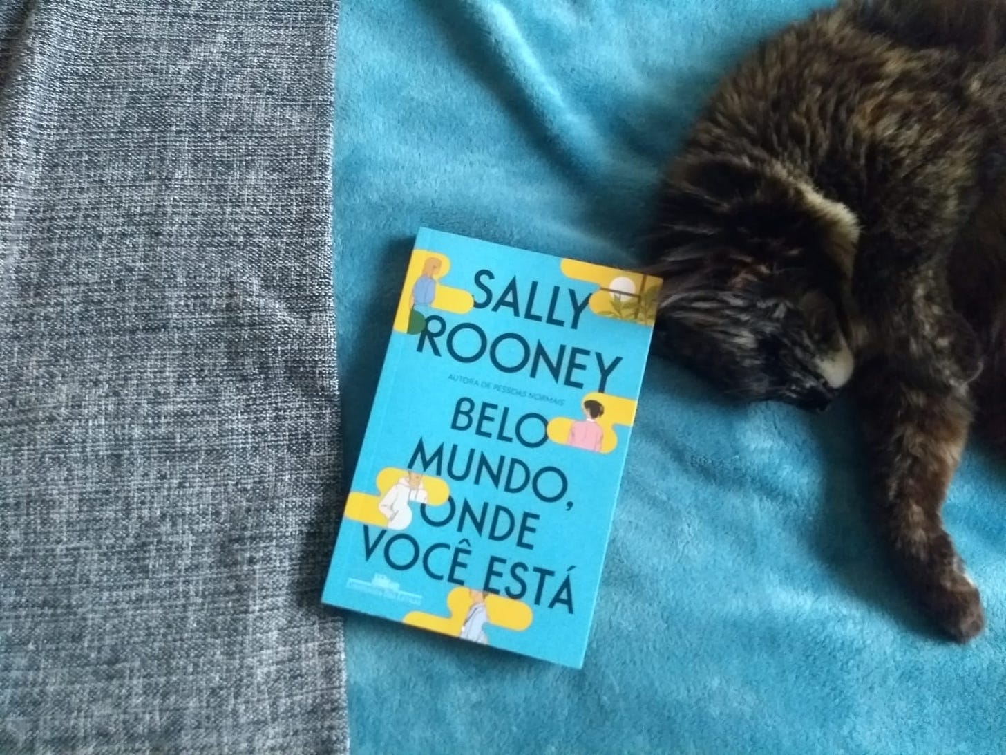 Foto vista de cima. Ao fundo, uma coberta cinza e uma azul. No centro, o livro "Belo mundo, onde você está", da Sally Rooney. A direita, uma gata de pêlo marrom deitada.