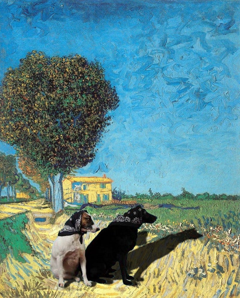 Van Gogh with Kiki and Nerica the Yin Yang Sister Dogs