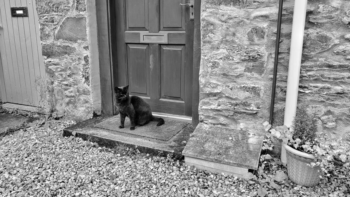 A black cat sits on a mat in front of a wooden door