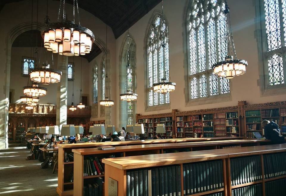 sunlight streaming from large Gothic windows into a reading room lined with bookshelves