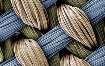 Multimedia Gallery - Tiny interwoven fibers of 3-D fabric scaffold | NSF -  National Science Foundation