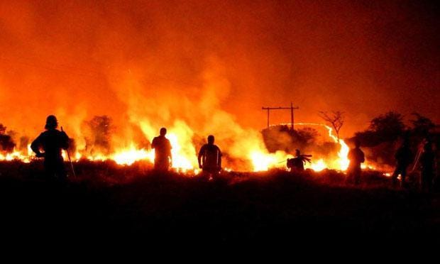Firebreaks and Veld Fires | Pretoria News
