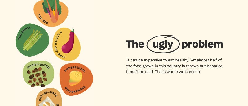 screenshot from website of Misfit Market: headline - The ugly problem. Body copy - it can be expensive to eat healthy. Yet almost half of the food grown in this country is thrown out because it can't be sold. That's where we come in.