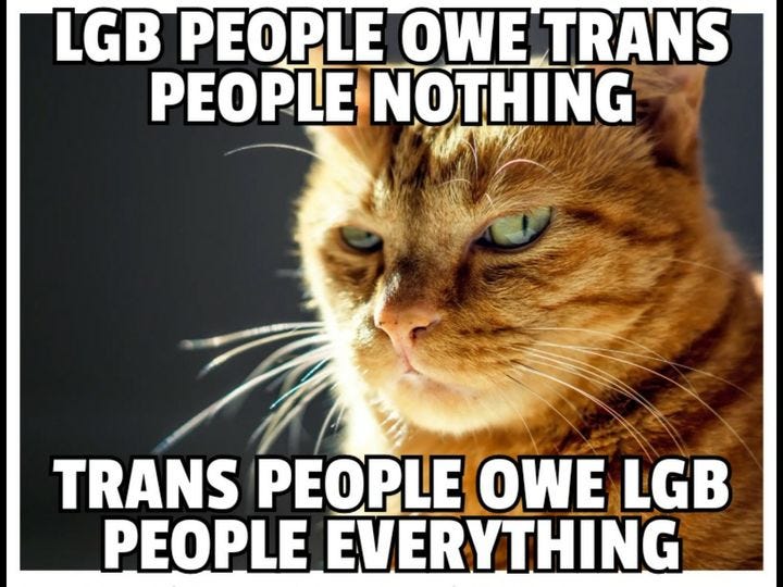 May be an image of cat and text that says 'LGB PEOPLE OWE TRANS PEOPLE NOTHING TRANS PEOPLE OWE LGB PEOPLE EVERYTHING'