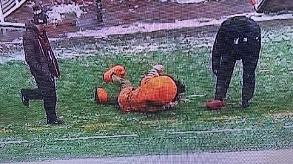 Even the Browns&#39; indefatigable elf mascot is having a bad year | For The Win