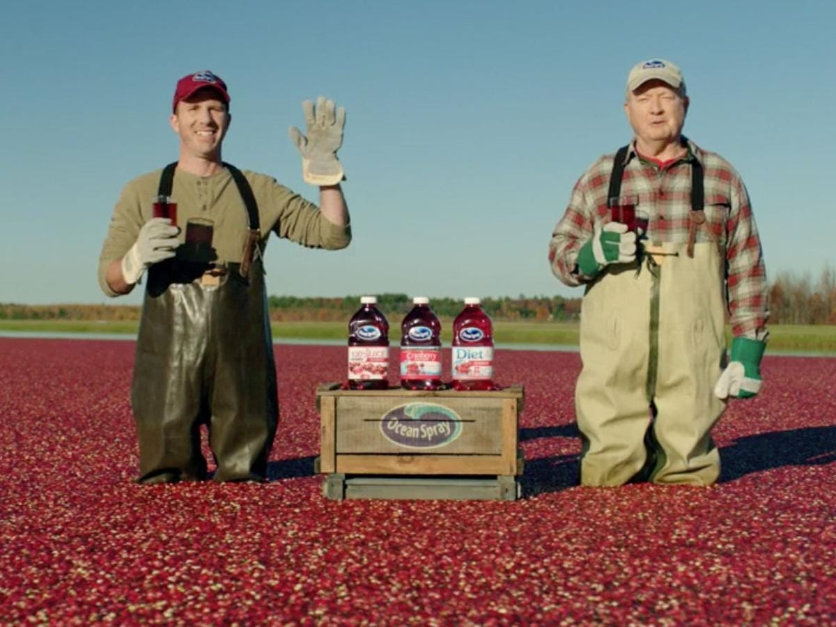photo of those two farmers from the Ocean Spray commercials standing in an ocean of cranberries