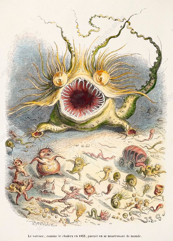A tentacular monster with bulbous eyes and sharp teeth pusues fleeing people.