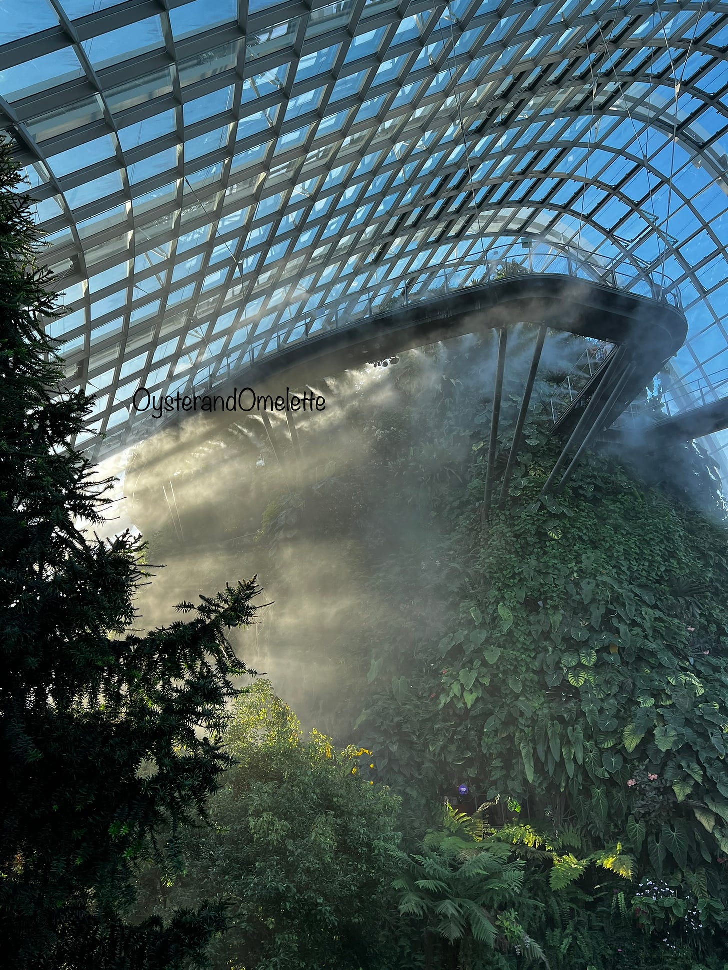 Misty view at Cloud Forest