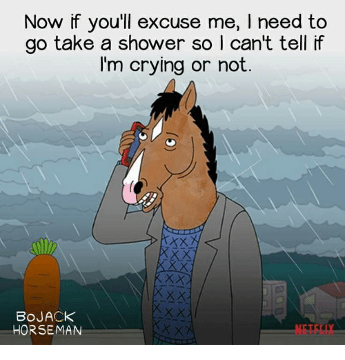 Now if You&#39;ll Excuse Me I Need to Go Take a Shower So | Can&#39;t Tell if I&#39;m  Crying or Not XxX BoJACK HORSEMAN NETFLIX | Crying Meme on ME.ME